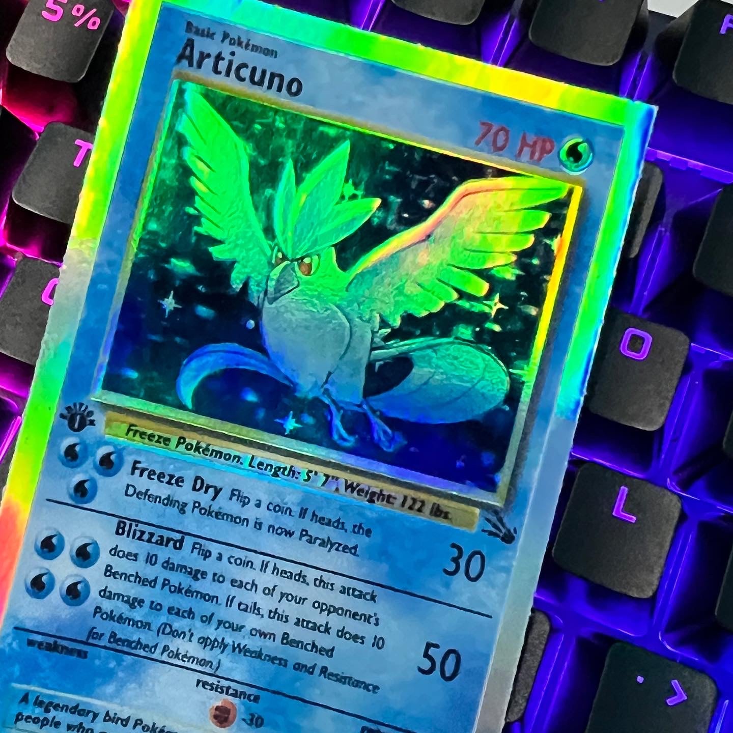 Blue Bird Holo Rectangle Sticker!