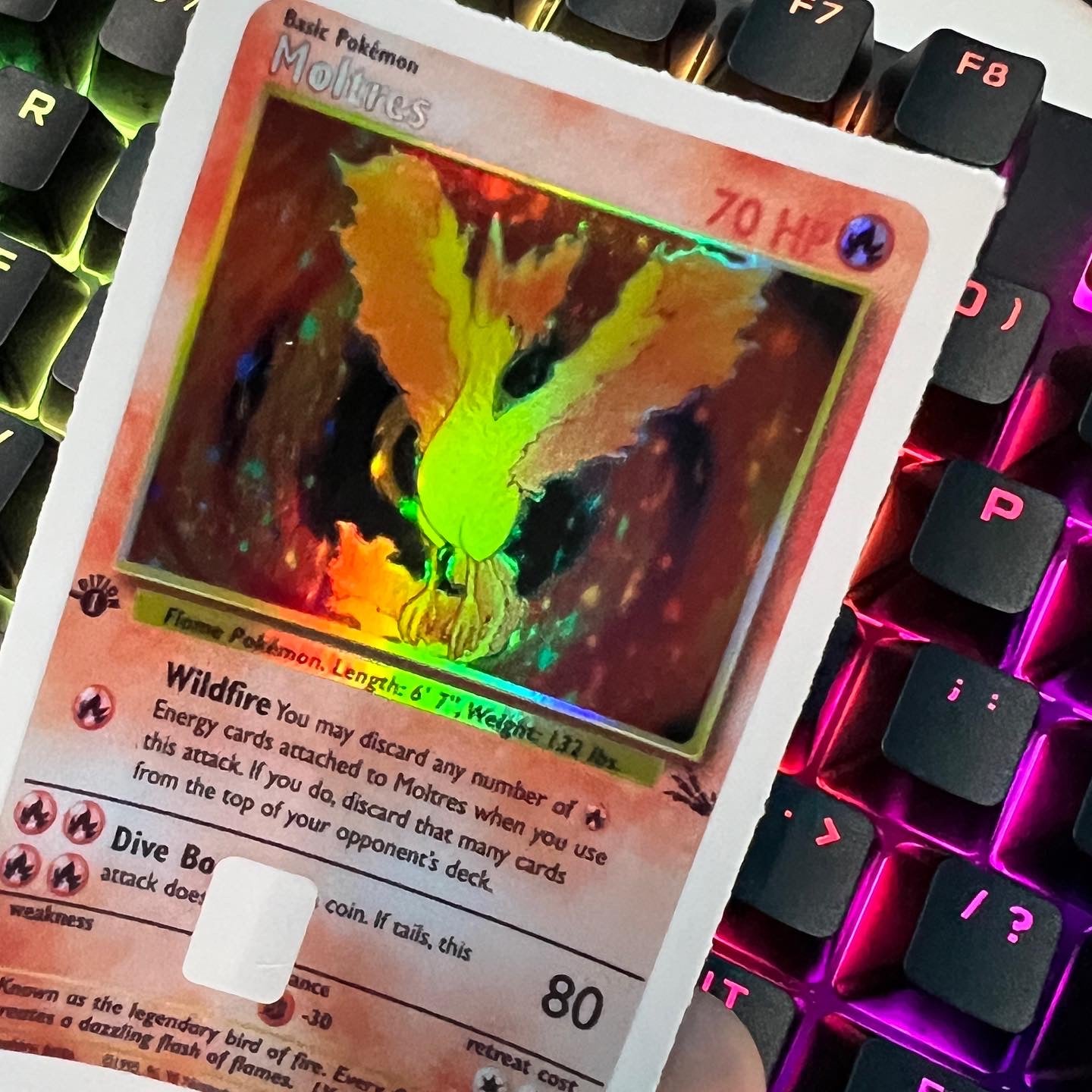 Red Bird Holo Rectangle Sticker!